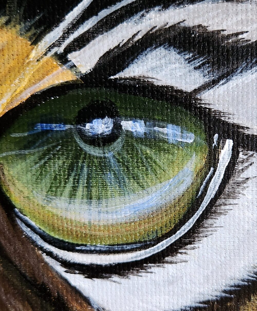 Eye of a Tiger - Image 3