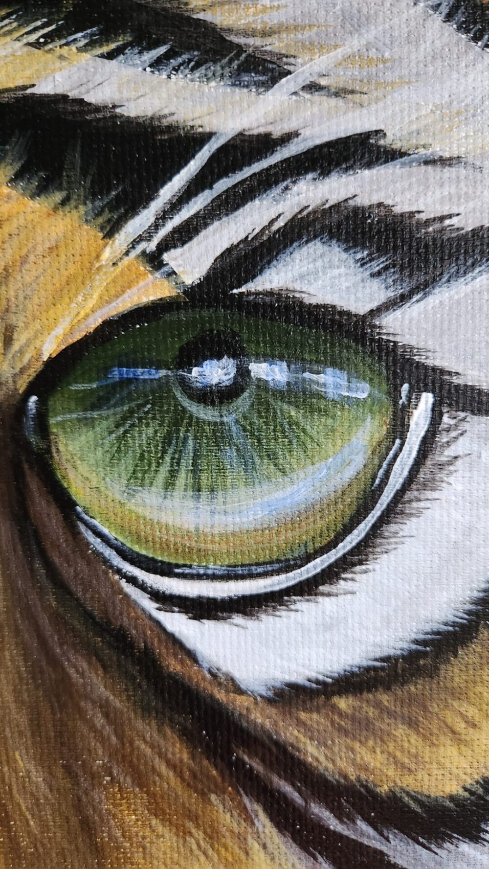 Eye of a Tiger - Image 4