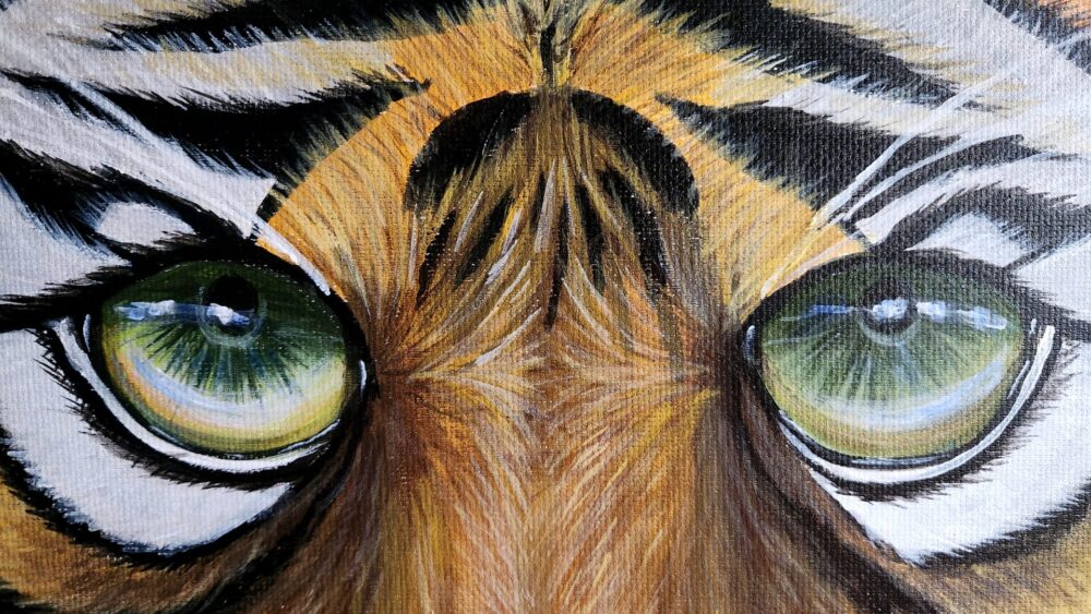 Eye of a Tiger - Image 5