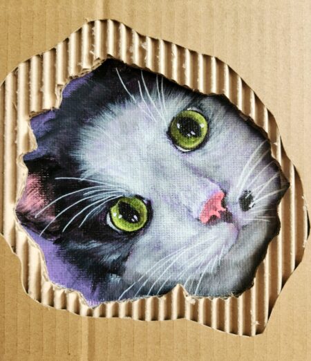 Oreo in a Box 1