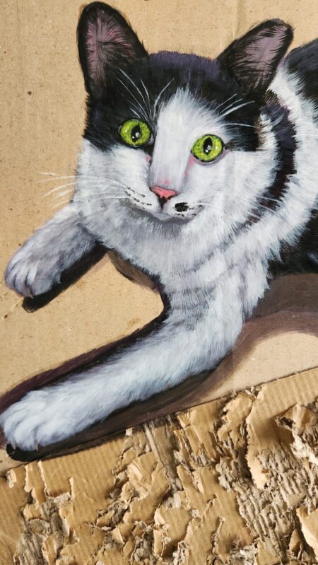 Danielle Art Original Acrylic and Oil Paintings Black and white cat with green eyes, painted on cardboard