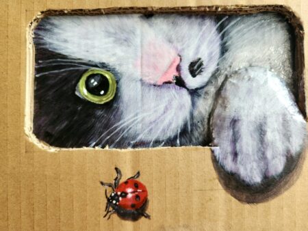 Danielle Art Original Acrylic and Oil Paintings Cat in a box with a ladybug. Cute black and white kitten playing.