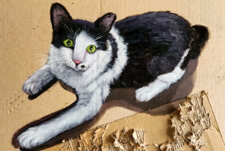 Danielle Art Original Acrylic and Oil Paintings Oreo the black and white cat with green eyes lounging on cardboard