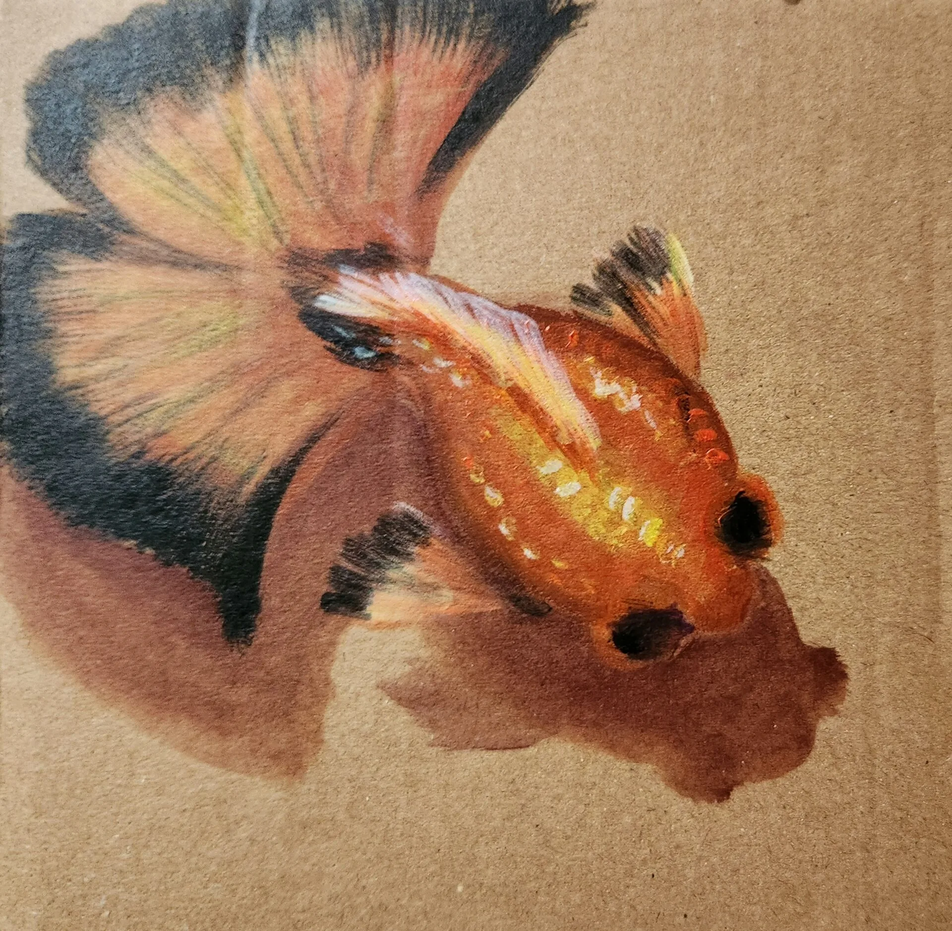 Graceful Goldfish - Image 7