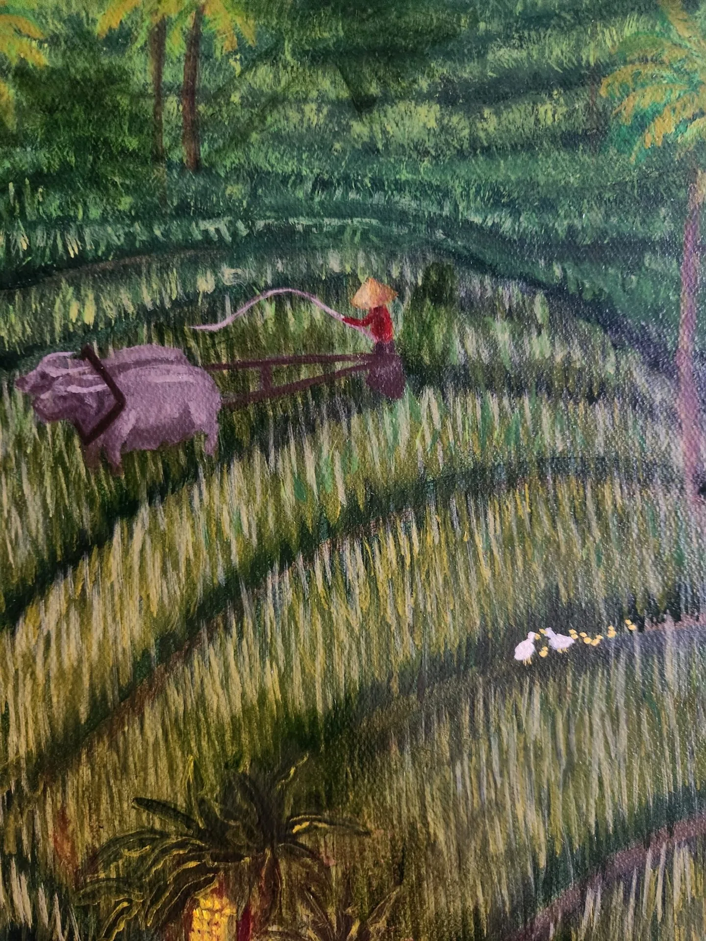 Rice Terrace of Yogyakarta - Image 11