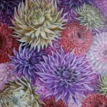 My Darling Dahlias floral painting with layered red, pink, purple and yellow dahlias.