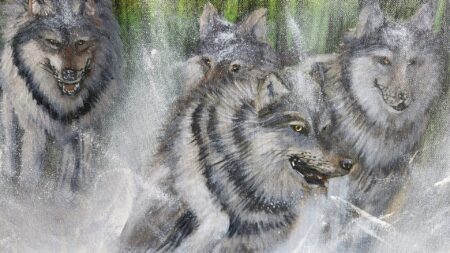 Danielle Art Original Acrylic and Oil Paintings Wolves running through water, a painting by Danielle Siauw.