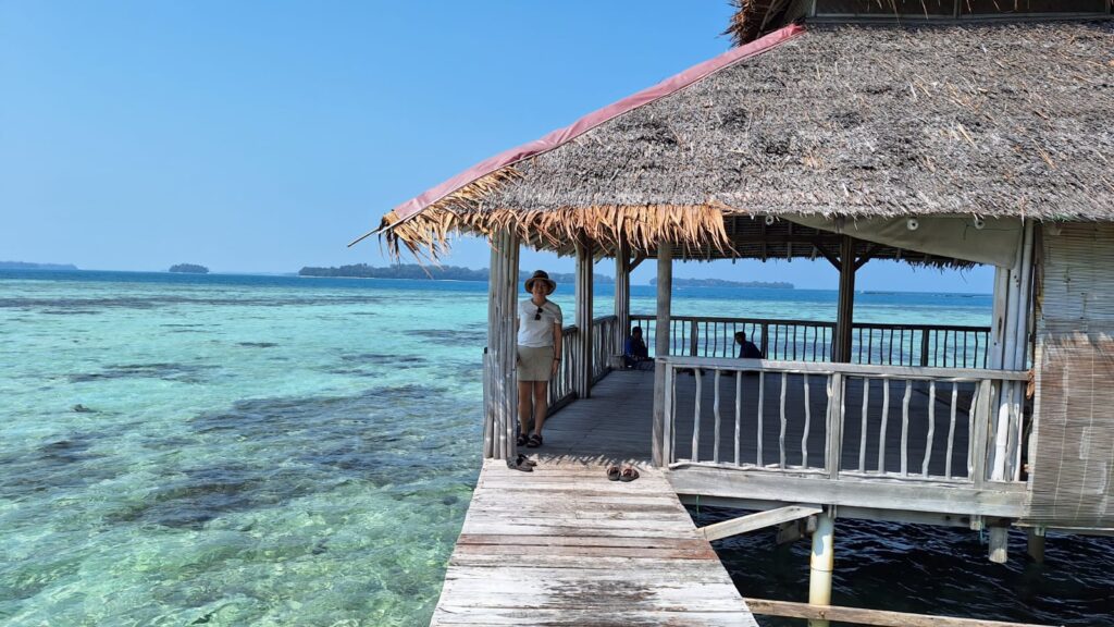 Danielle Art Original Acrylic and Oil Paintings Woman on a pier with a thatched roof hut overlooking turquoise water.