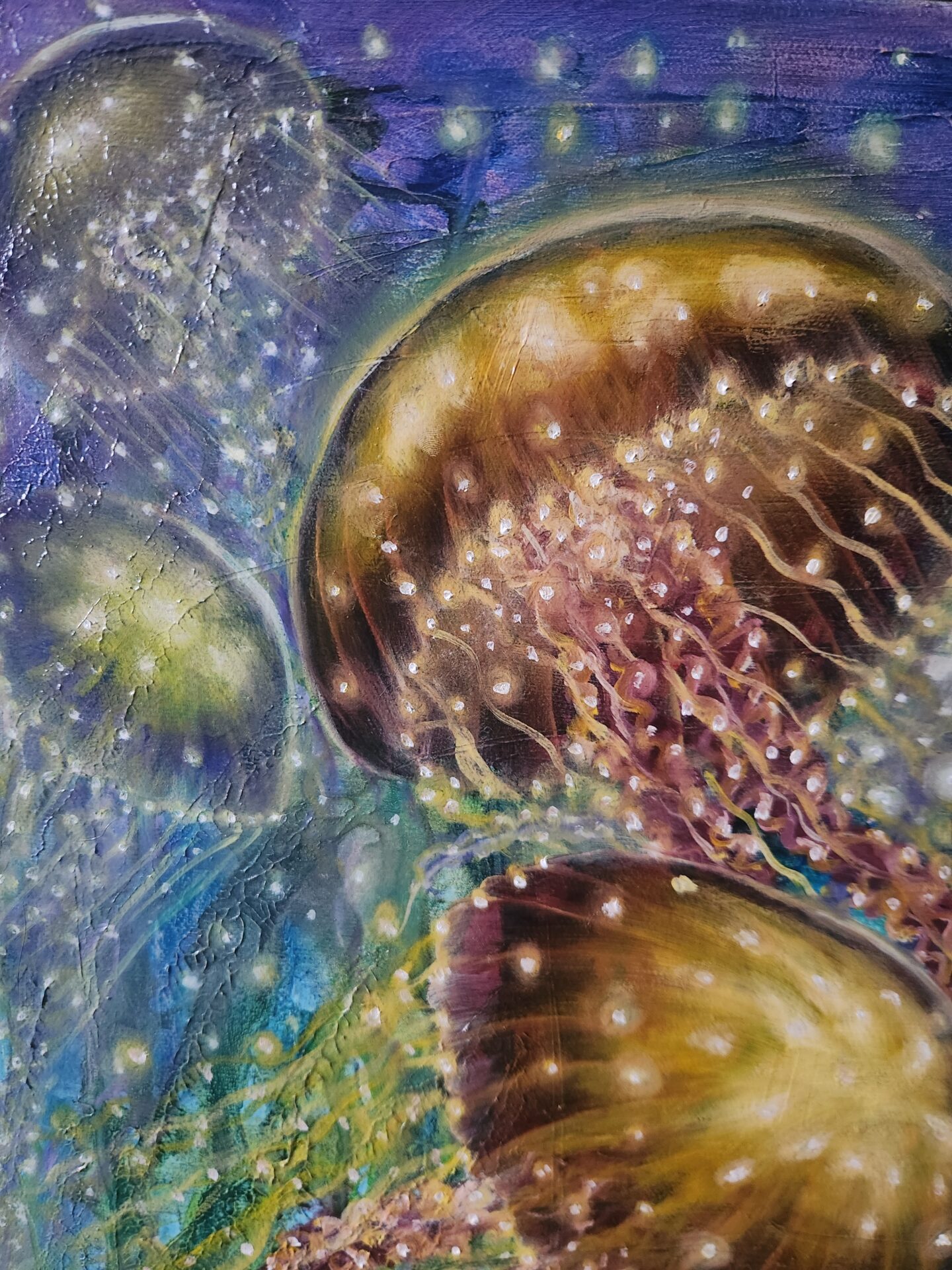 Jelly Fish - Image 9