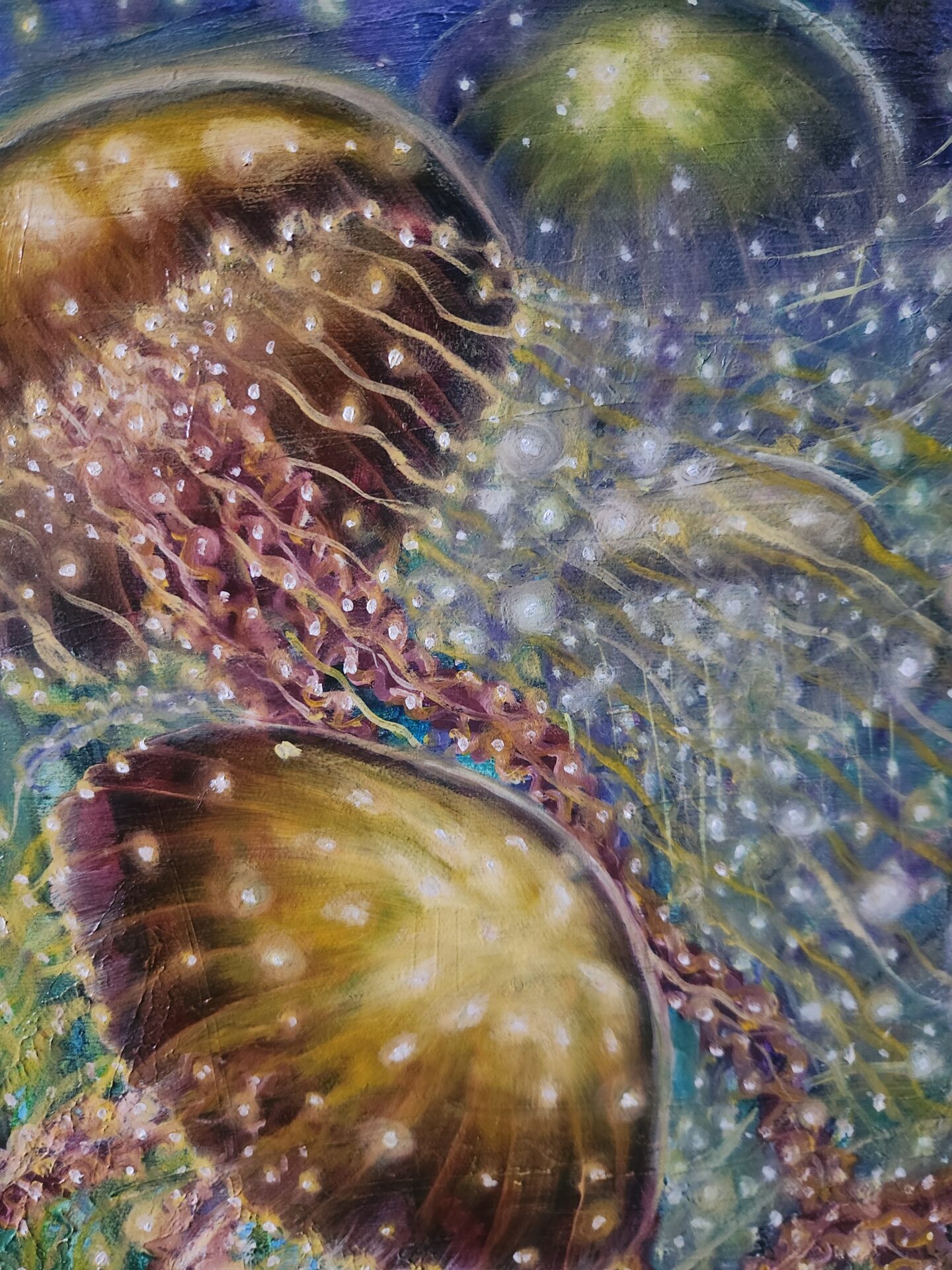 Jelly Fish - Image 8