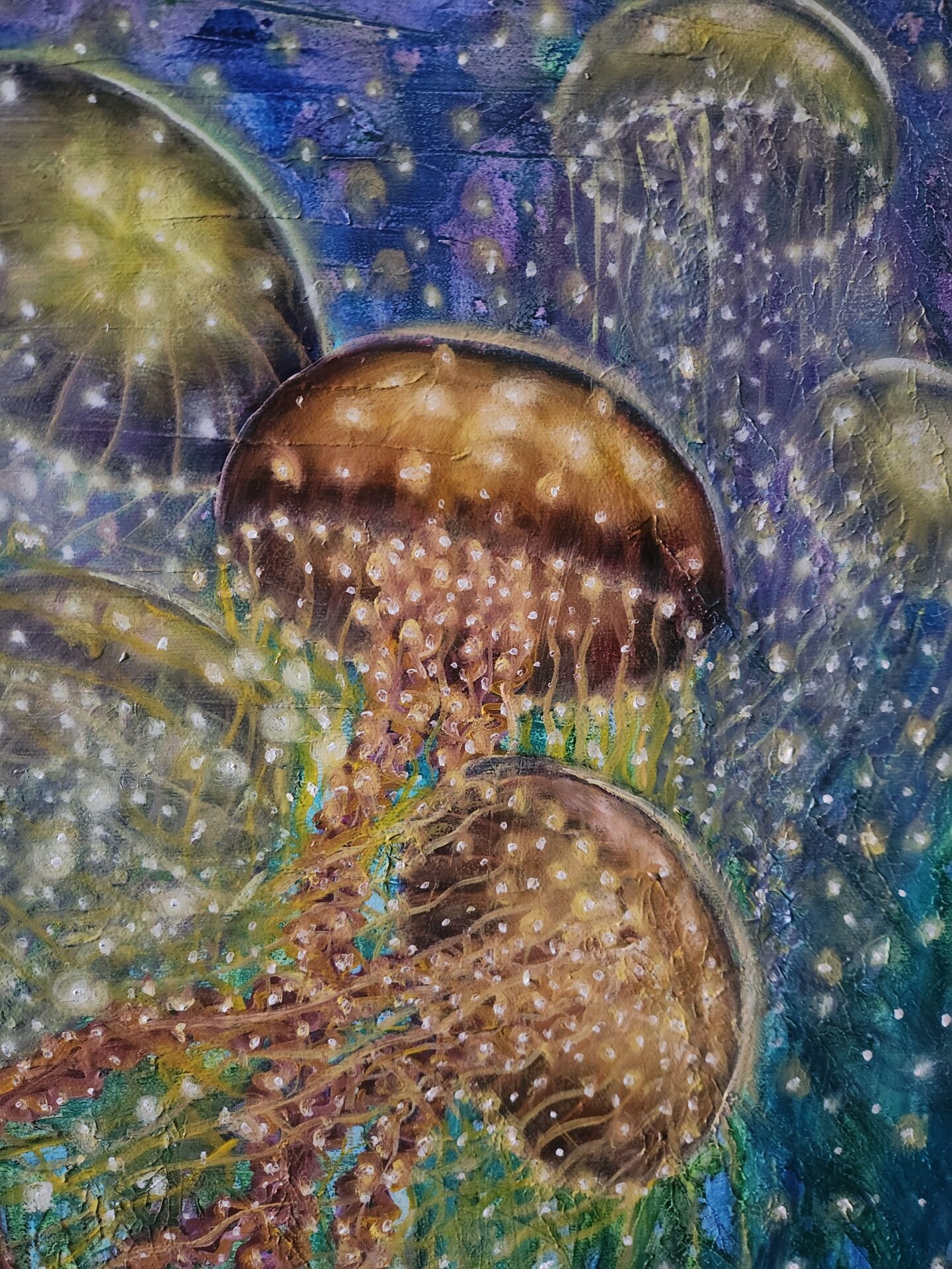 Jelly Fish - Image 7