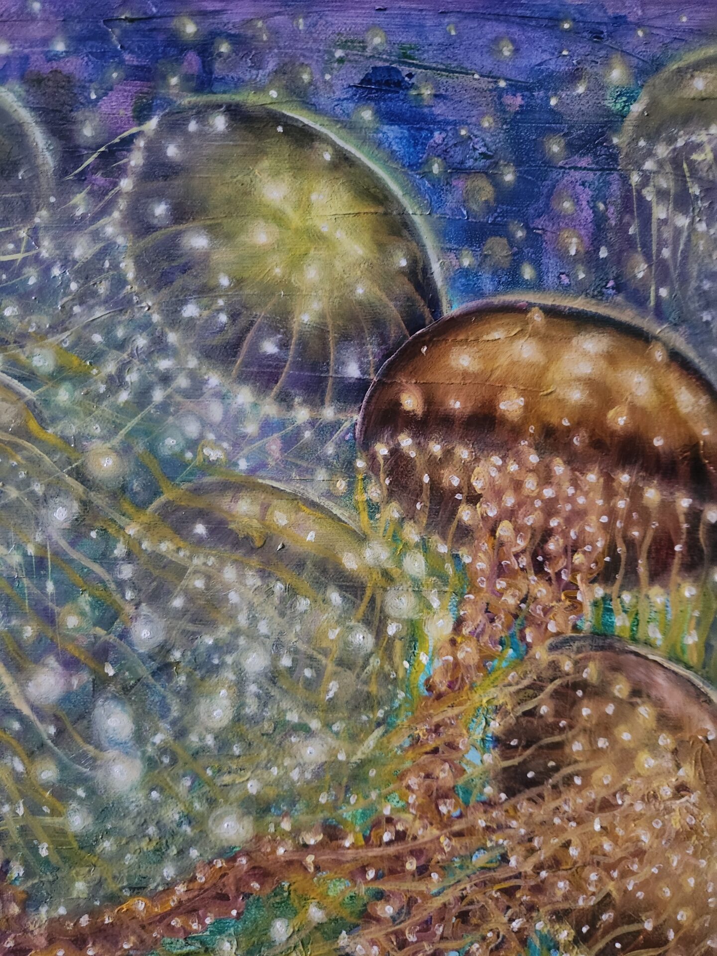 Jelly Fish - Image 6