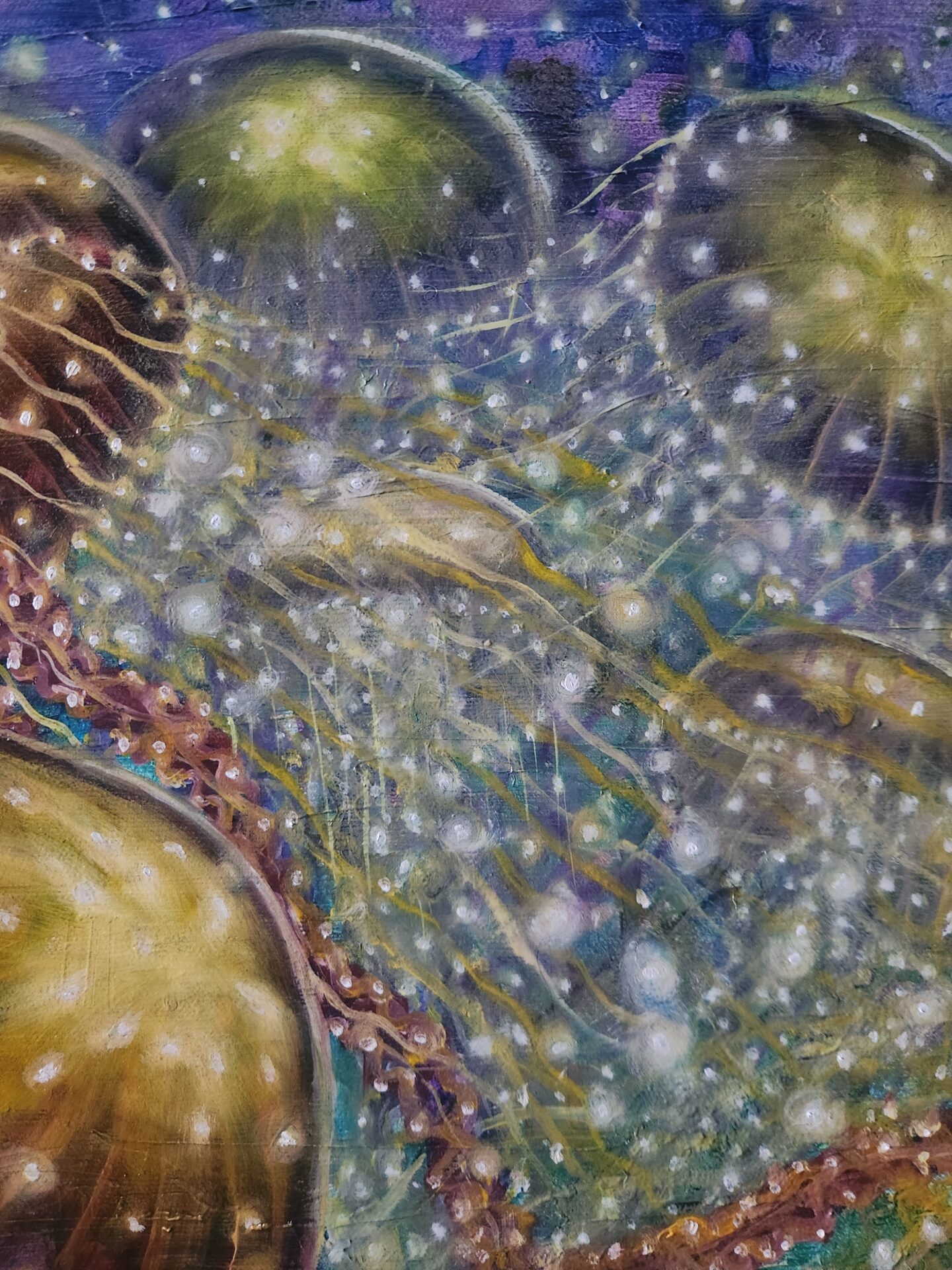 Jelly Fish - Image 5