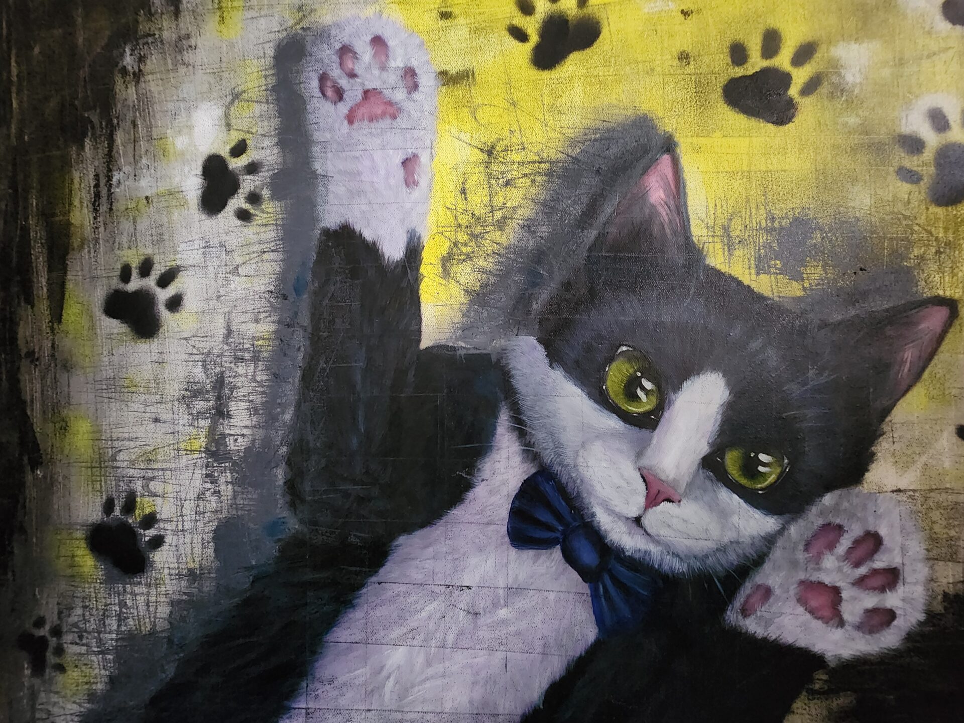 Tuxedo Cat - Image 8