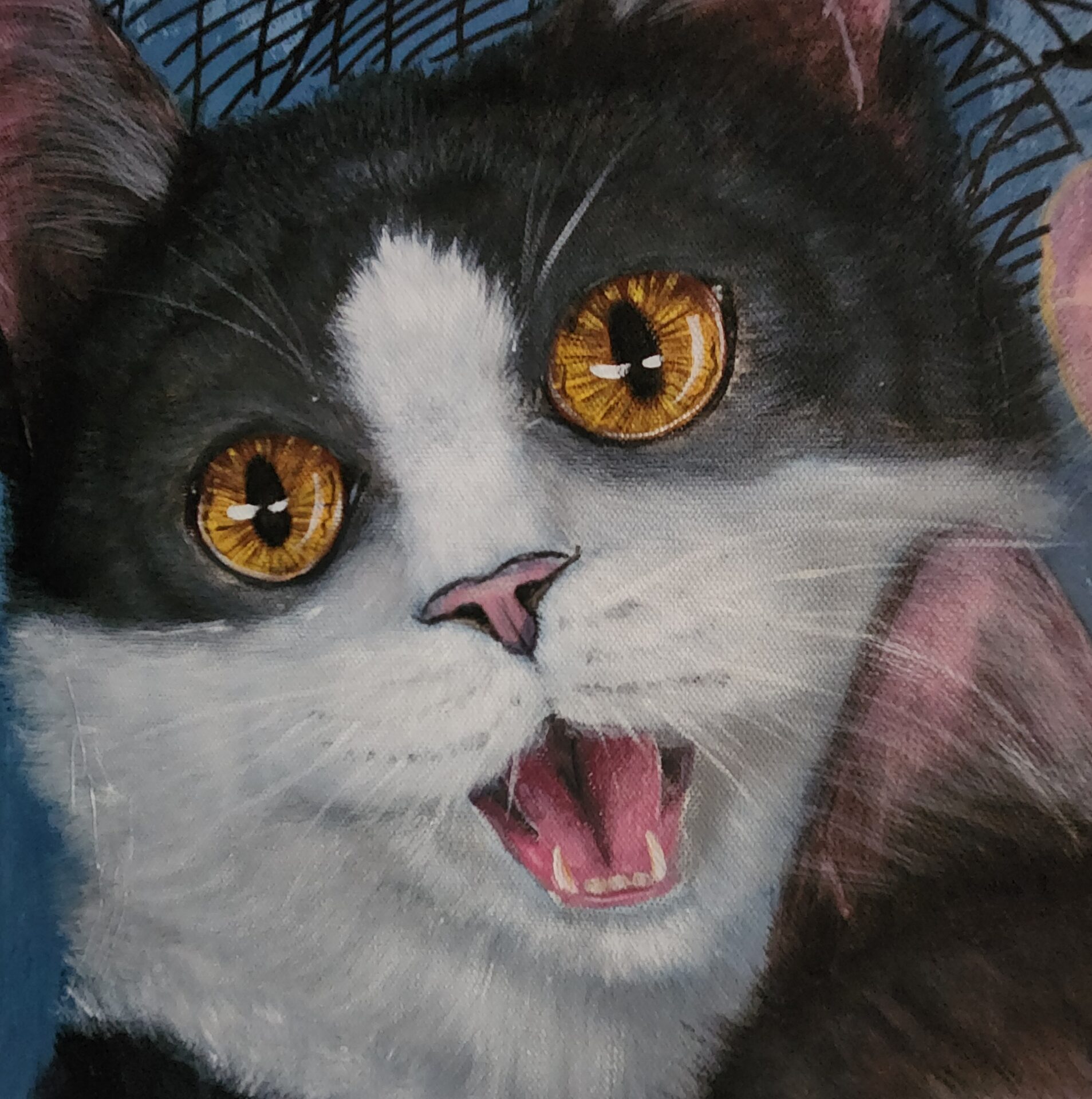 We-fie Cats - Image 4