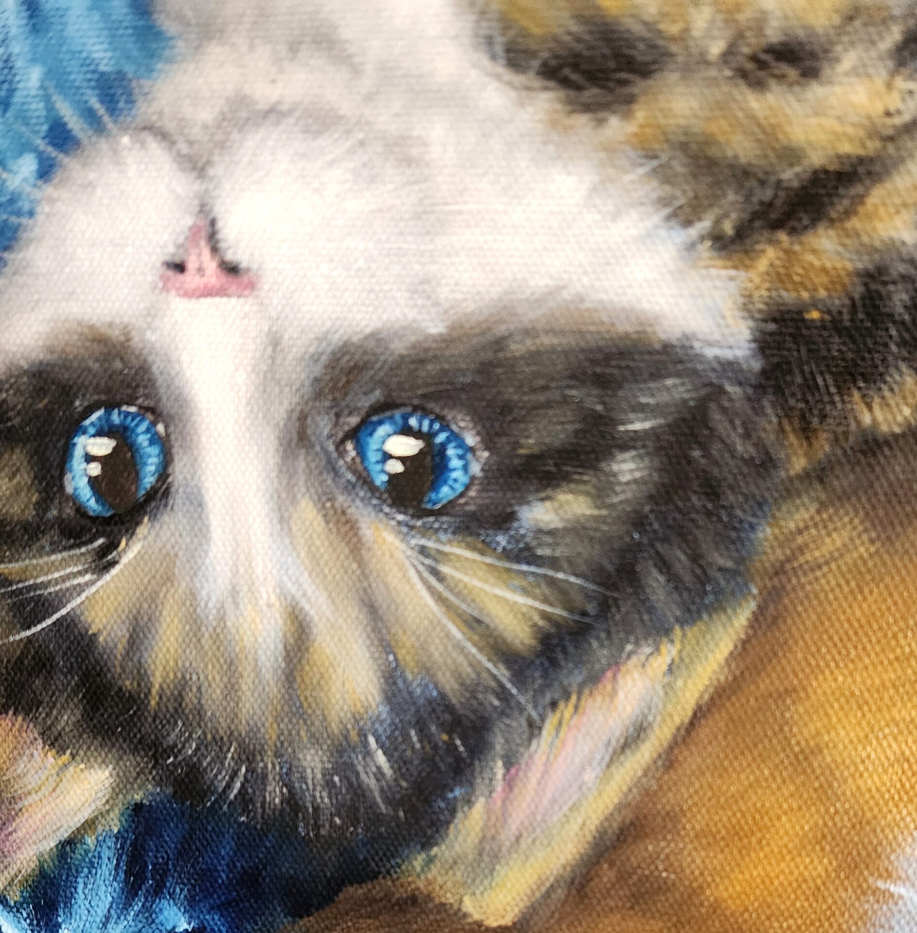 Singapore Meows - Image 3