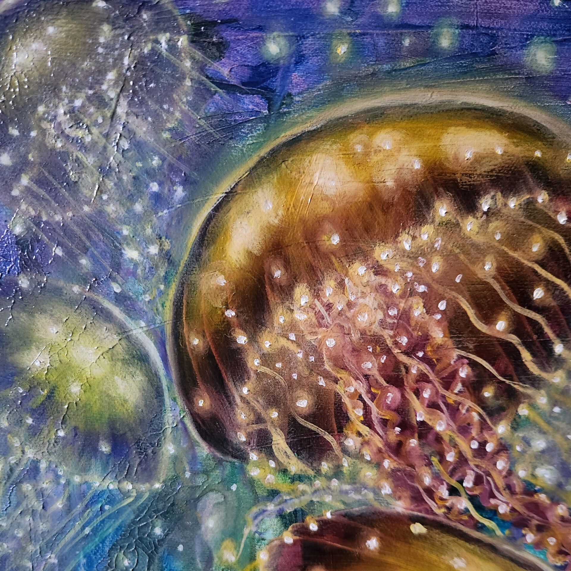 Jelly Fish - Image 4