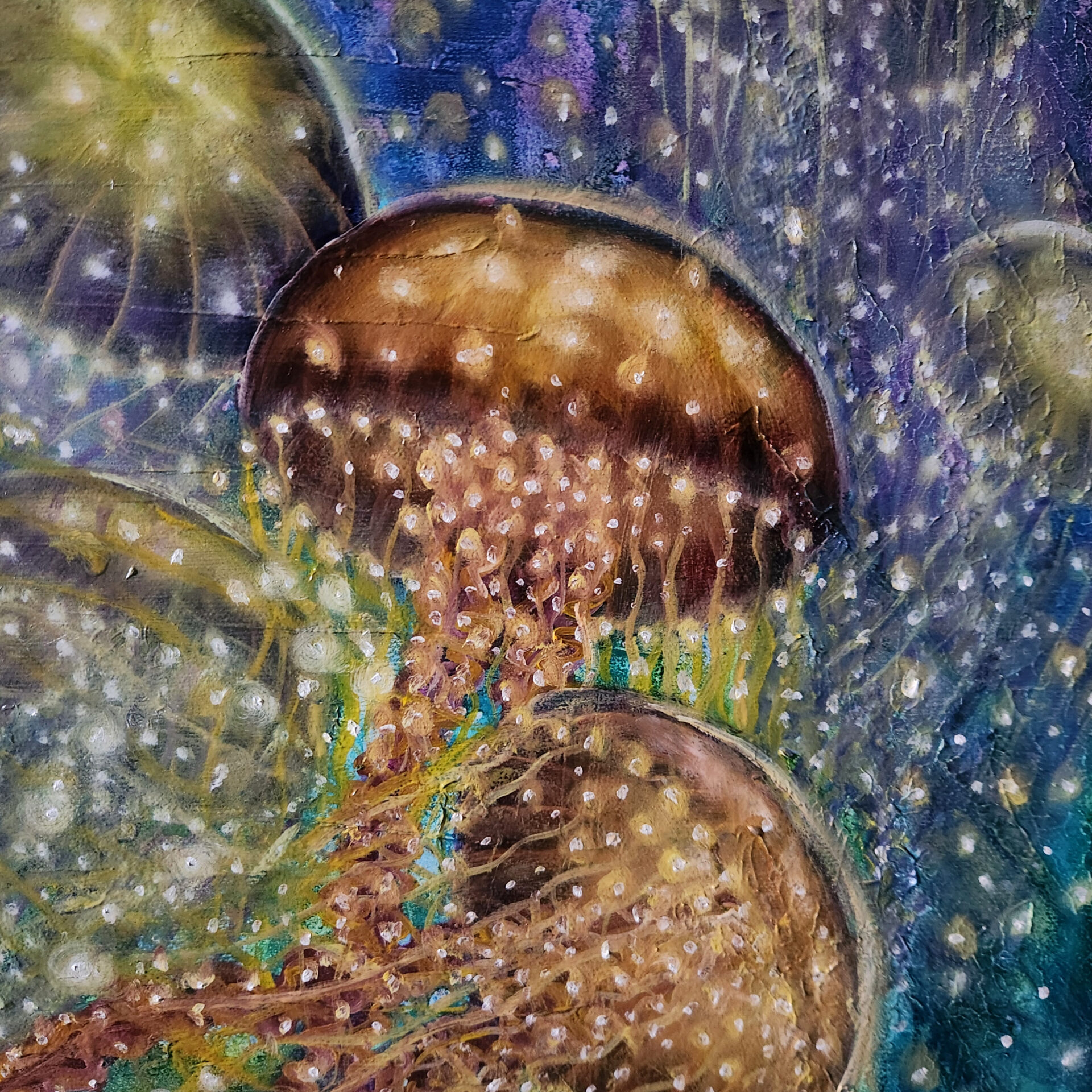 Jelly Fish - Image 3