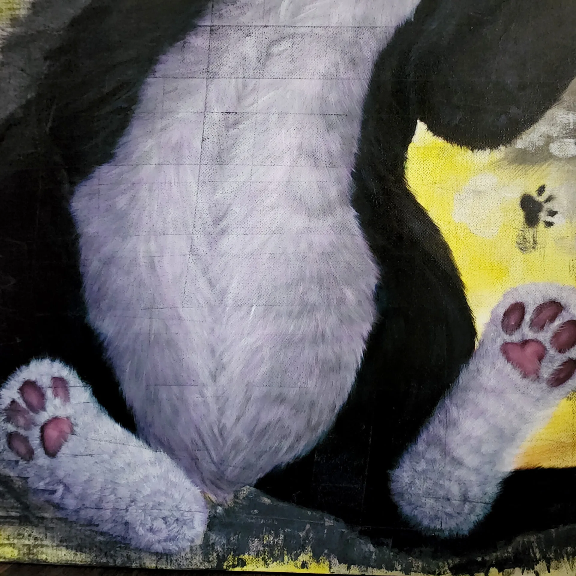 Danielle Art Original Acrylic and Oil Paintings Painting of a panda's fluffy belly and paws with pink paw pads.