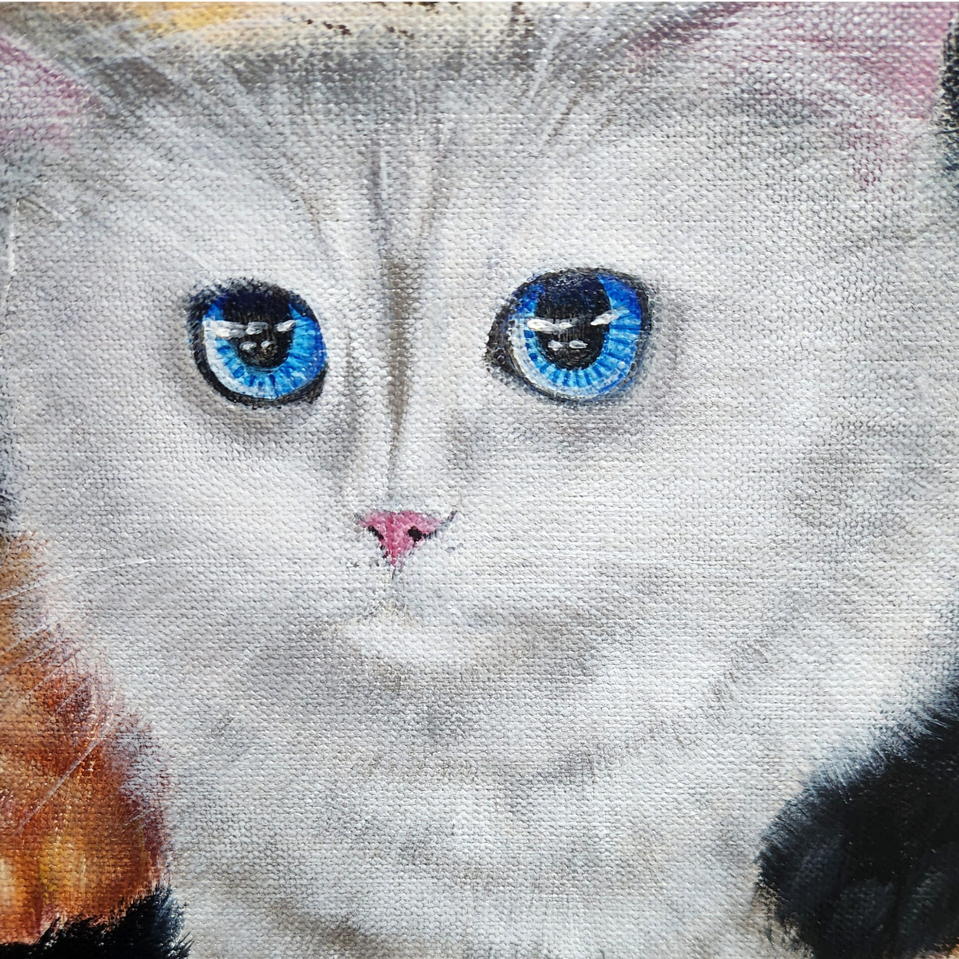 Mochi Cat ll - Image 6