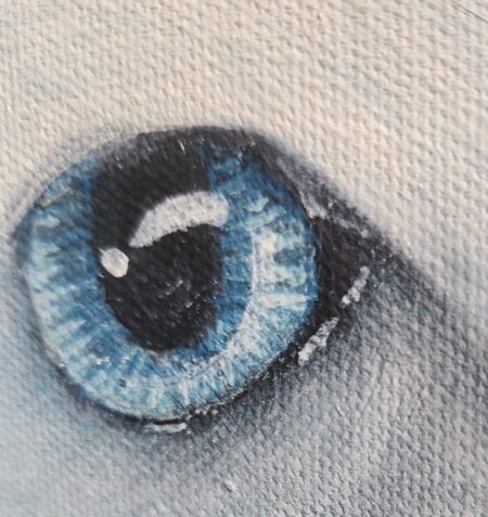 Danielle Art Original Acrylic and Oil Paintings Little Princess: Close-up of a striking blue eye with detailed iris and reflection