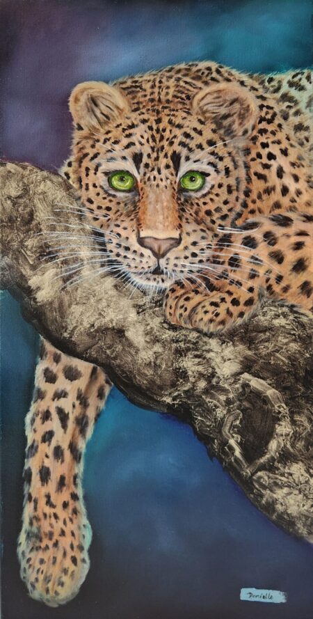 Resting Jaguar