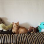 Danielle Art Original Acrylic and Oil Paintings Orange tabby cat lounging on a striped couch with stuffed animal friends.