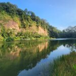 Danielle Art Original Acrylic and Oil Paintings Scenic view of Hindhede Nature Park lake reflecting lush greenery, perfect for a peaceful walk.