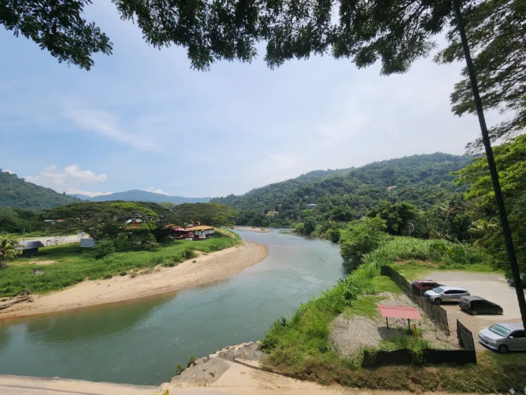 Danielle Art Original Acrylic and Oil Paintings Scenic river view near Kundasang, Malaysia, lush greenery