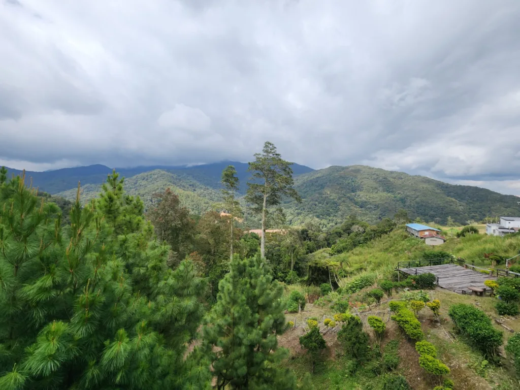 Danielle Art Original Acrylic and Oil Paintings Okay, I'm ready to create SEO-optimized alt text. Please provide the blog title and SEO keywords so I can tailor the alt text appropriately.