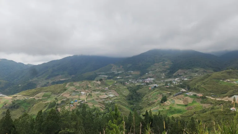 Danielle Art Original Acrylic and Oil Paintings Lush, green mountainside with terraced fields and a village nestled near Mt. Kinabalu under a cloudy sky.