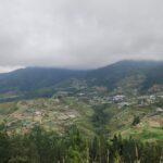 Danielle Art Original Acrylic and Oil Paintings Lush, green mountainside with terraced fields and a village nestled near Mt. Kinabalu under a cloudy sky.