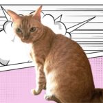 Danielle Art Original Acrylic and Oil Paintings Orange tabby cat sitting against a comic book style background. Gentle care for Bobby.