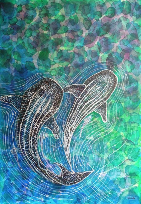 Two whale sharks circling through turquoise and blue water in Gentle Giants by Danielle Siauw