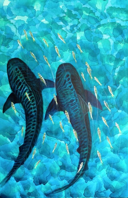 Two tiger sharks swimming with small striped fish in turquoise water in Quiet Strength by Danielle Siauw
