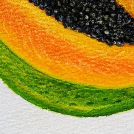Original Drawing - Papaya — closeup 1