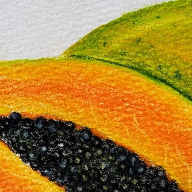 Original Drawing - Papaya — closeup 2