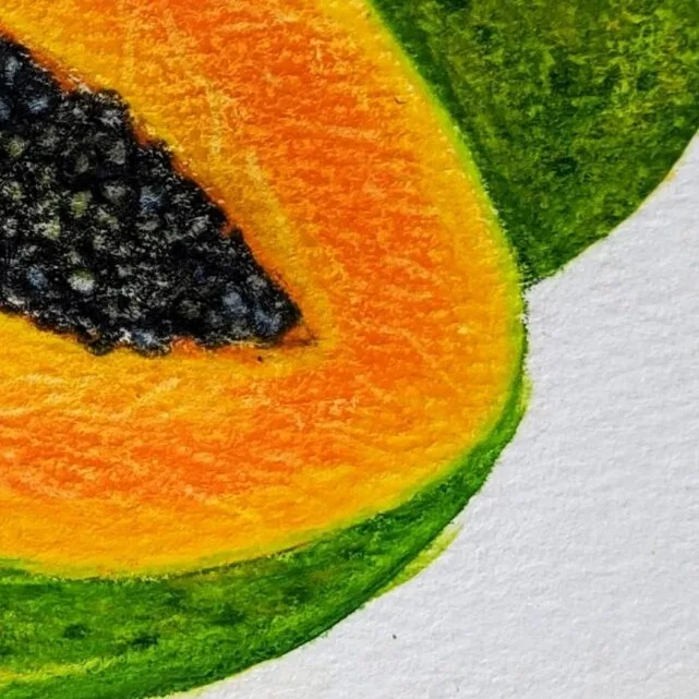 Original Drawing - Papaya — closeup 3