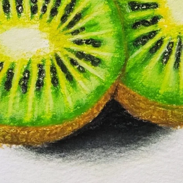Original Drawing - Kiwi Fruit — closeup 1