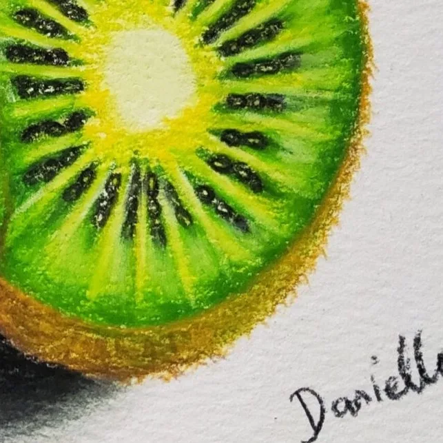 Original Drawing - Kiwi Fruit — closeup 2