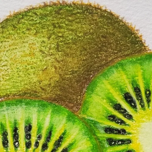 Original Drawing - Kiwi Fruit — closeup 3