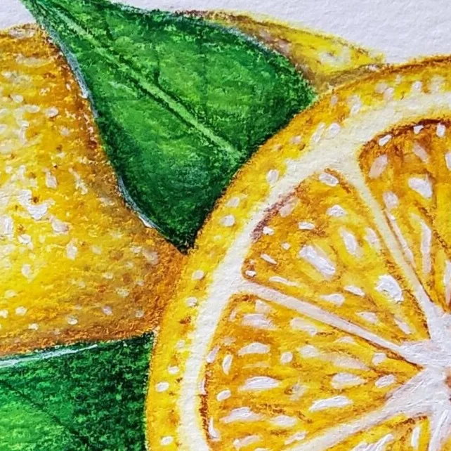 Original Drawing - Lemons — closeup 2