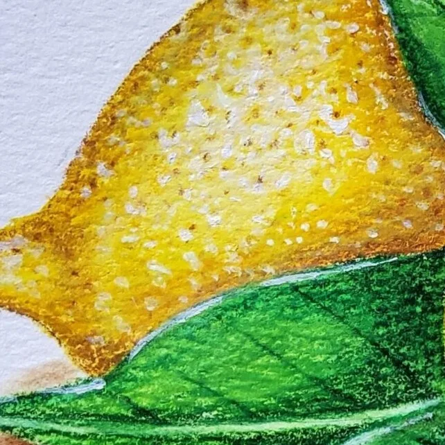 Original Drawing - Lemons — closeup 3