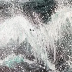 Canvas Prints - Tempest — closeup 1