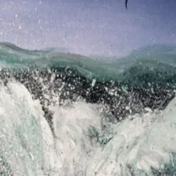 Canvas Prints - Tempest — closeup 3