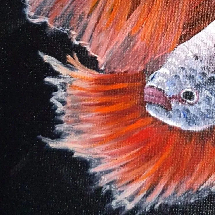 Fighting Fish 1 — closeup 3