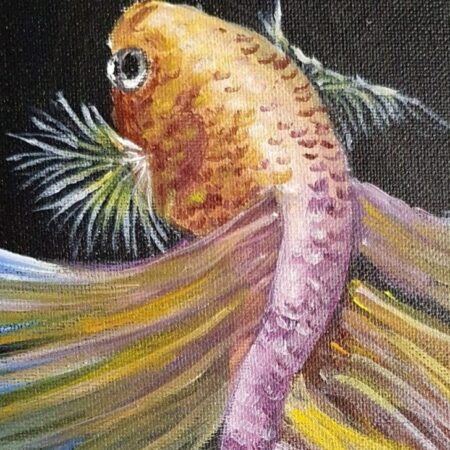 Fighting Fish 2 — closeup 1