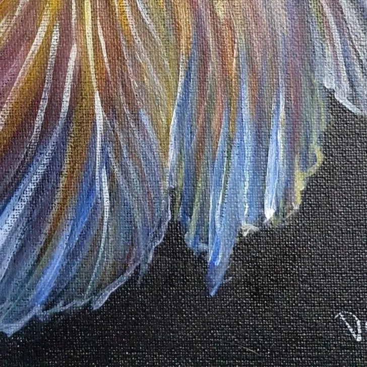 Fighting Fish 2 — closeup 2
