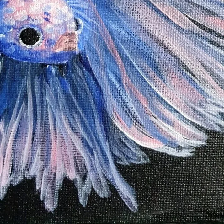 Fightjng Fish 3 — closeup 1