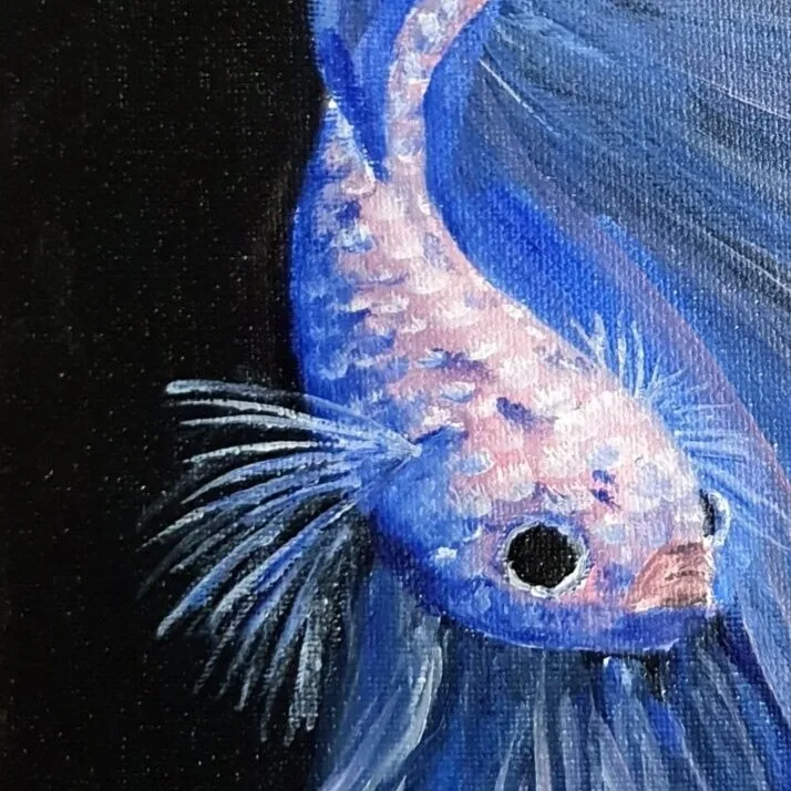 Fightjng Fish 3 — closeup 2